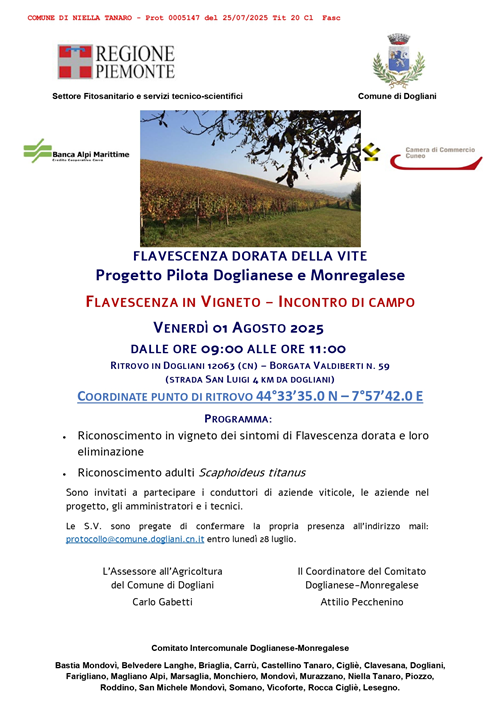 Flavescenza dorata della Vite - Flavescenza in Vigneto - incontro di campo