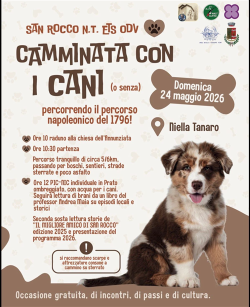 Passeggiata con i cani
